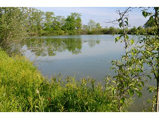 Property photo 88 - LAND AUCTION - 215+/- ACRES OFFERED IN 6 TRACTS IN VAN WERT COUNTY, OHIO